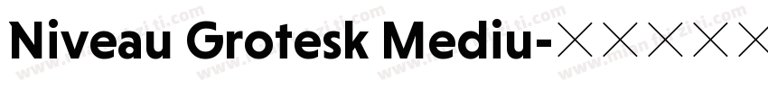 Niveau Grotesk Mediu字体转换